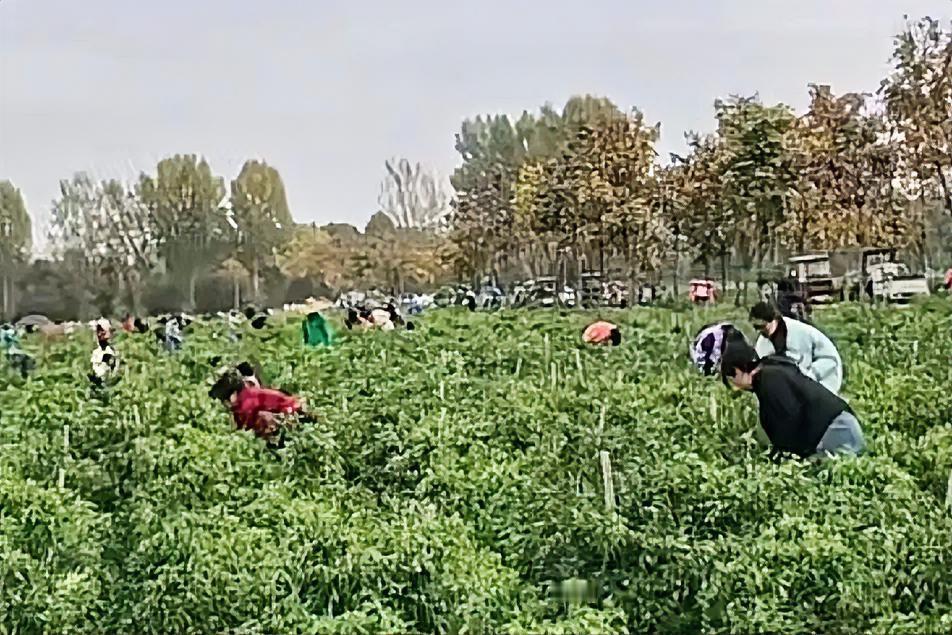 对于果园、农场等场所，果实是种植者投入了大量时间、金钱和劳动的产物，是他们的私有