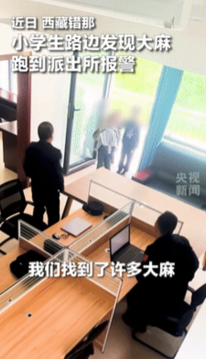 活的还不如小学生！”西藏，3名小学生在路边玩耍的时候发现了大麻，第一时间跑到派出