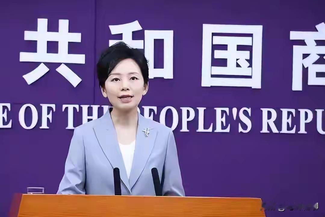 前两天看新闻还说巴基斯坦军方高层去了美国，给美国带去了稀土样品，打算拉着美国一起