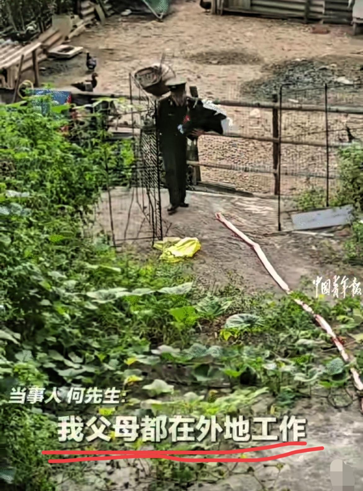 云南文山的院子里，杂草没及膝盖时，那卷鞭炮响得格外脆。退伍男子站在空荡的门口，看