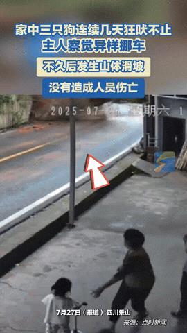 “彻底解释不清了！”四川乐山，女子养着的三只狗，突然发了疯似的朝着自家停车的位置
