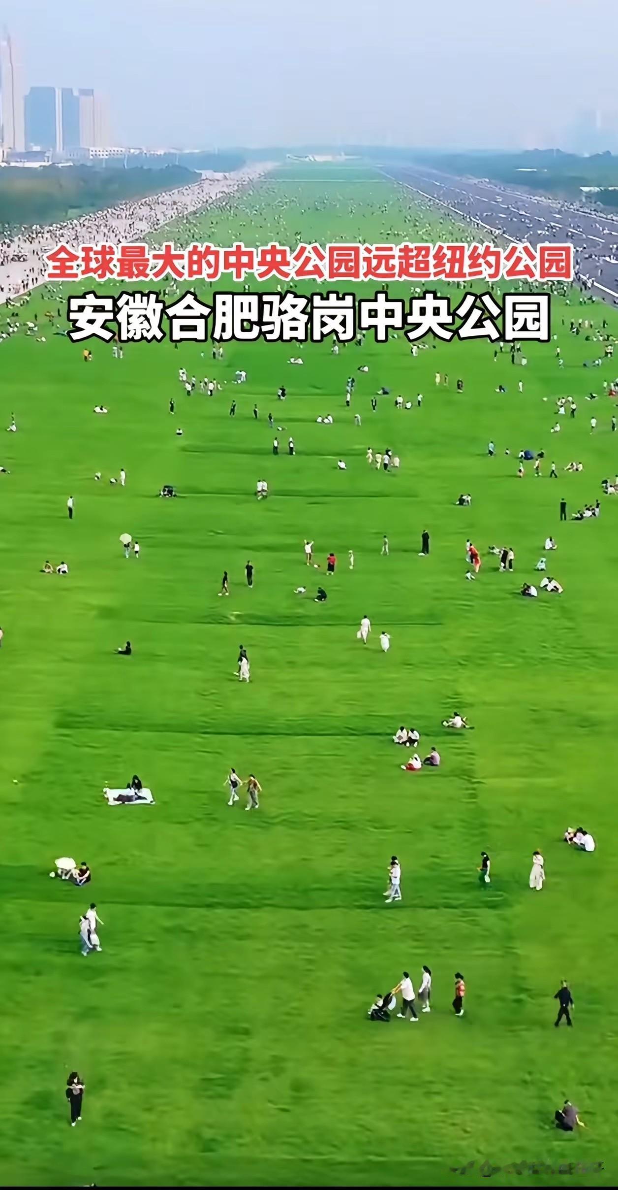 这大的能容下一个新加坡！
