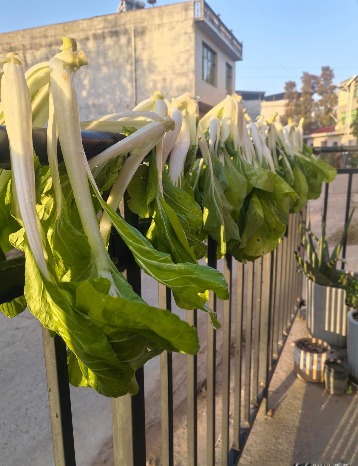 他一年挣七八万，今年改成月结，工资没涨，活还少了。老婆心里有火，家里每月就两千
