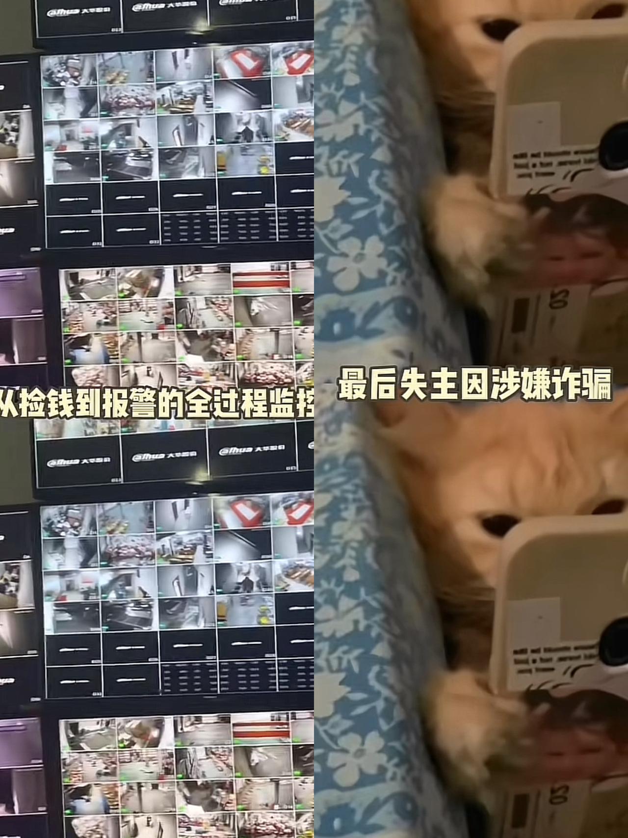 武汉那个讹人的失主这回算是真的踢到钢板上了黄先生捡到27万现金原封不动上