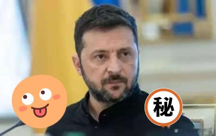 美方强塞28条“投降方案”，泽连斯基怒吼：谁用国土换和平？