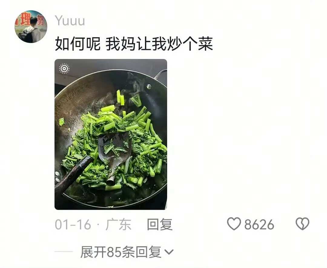 家里的老东西，总是吊着一口气等我回家害我