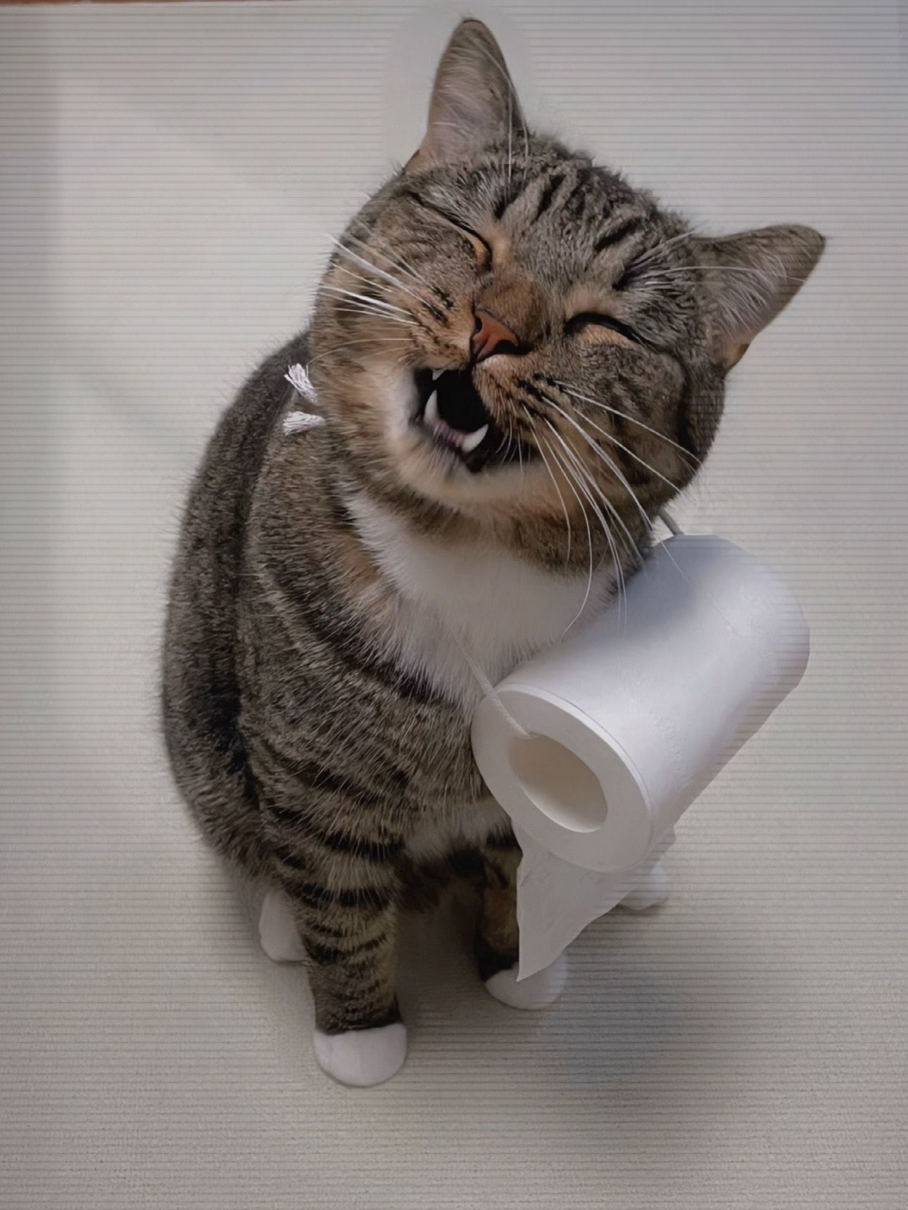 厕所搭子，再也不用担心没纸了