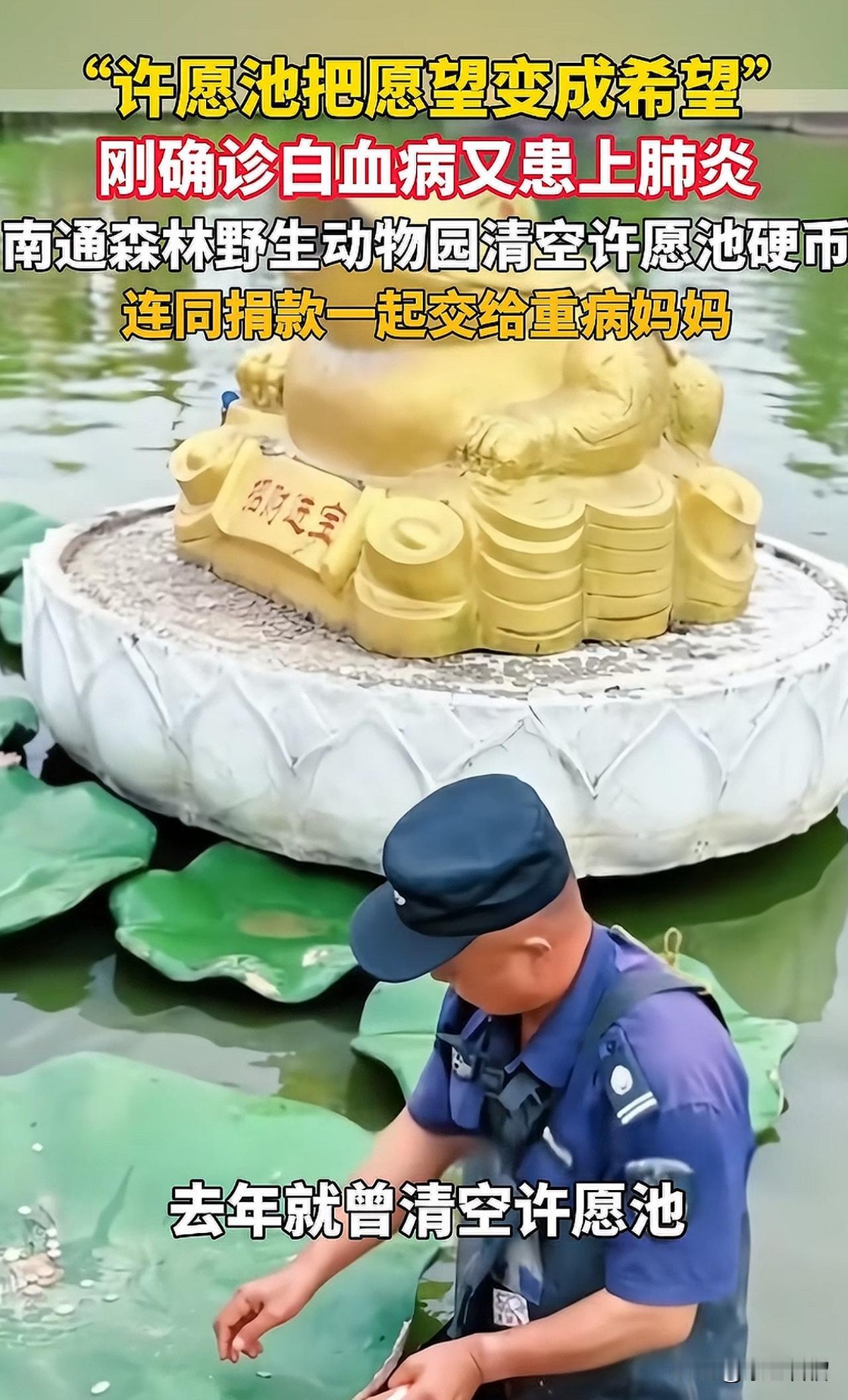 被这则新闻感动到了！南通野生动物园的做法再度让人刮目相看！偶然