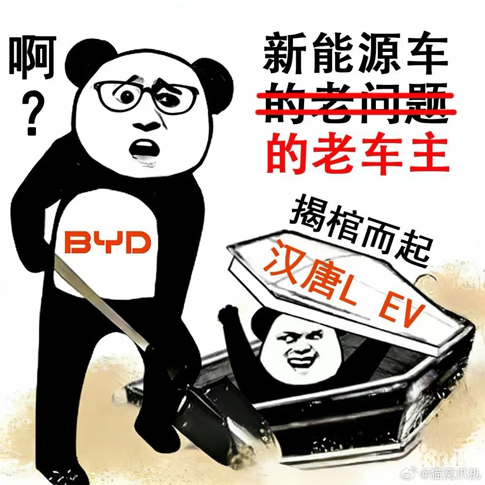 关于比亚迪的二代闪充的一堆神图，果然网友都是天才