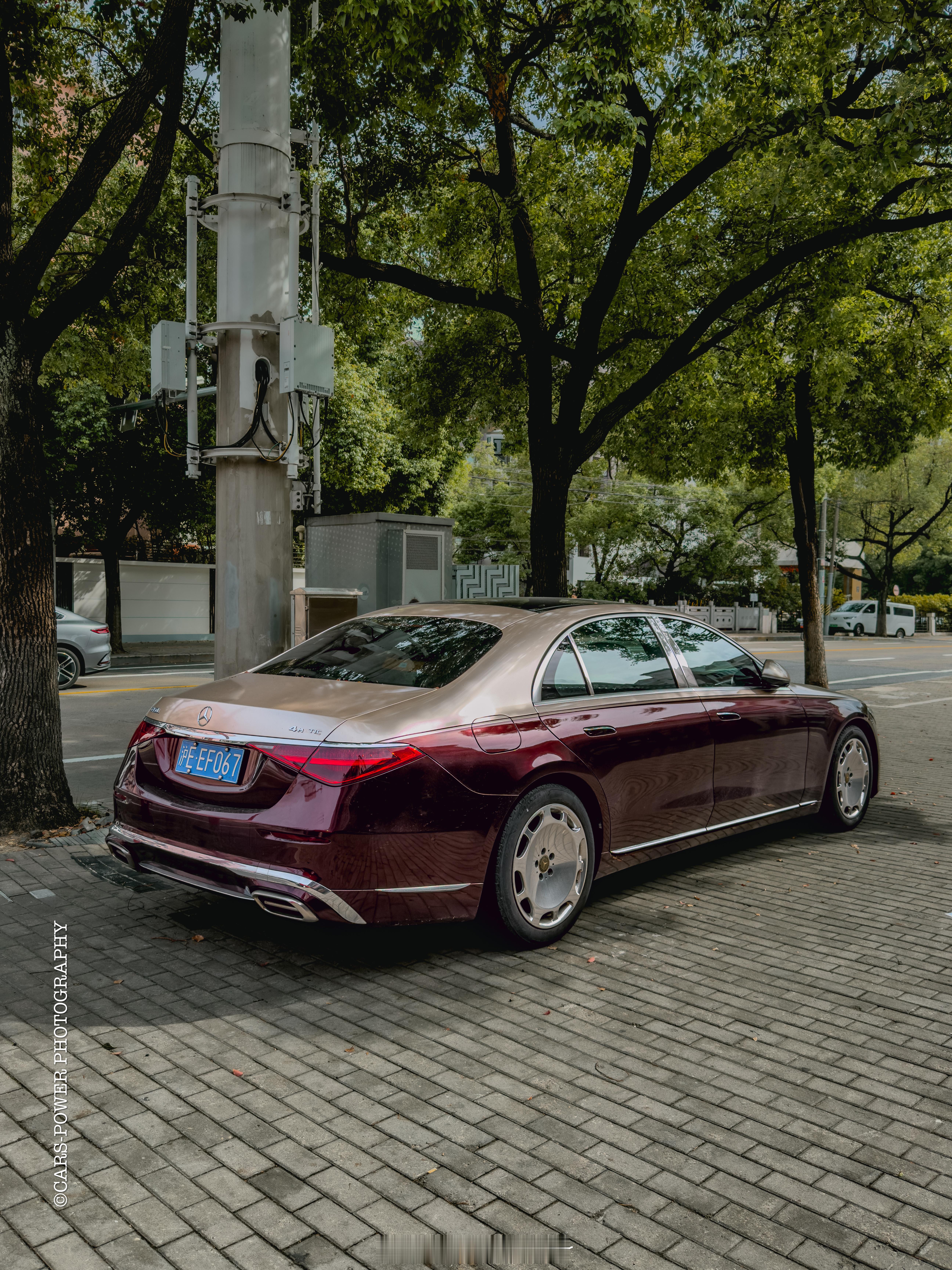 ❤️❤️❤️红金双色🤎🤎🤎迈巴赫S级好不好看