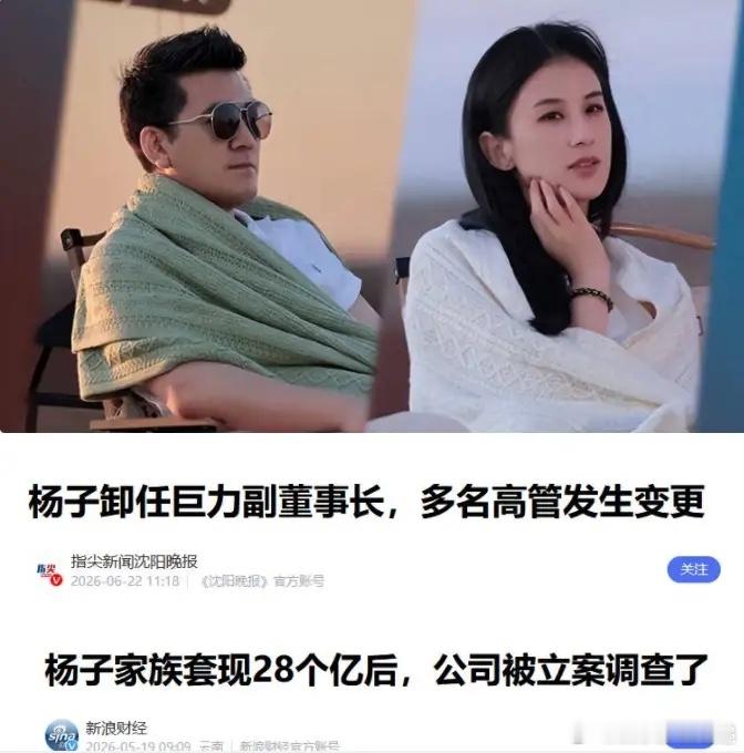 杨子迎来人生至暗时刻，左手是结婚17年的老婆刚离婚，右手是卸任经营29年的巨力副