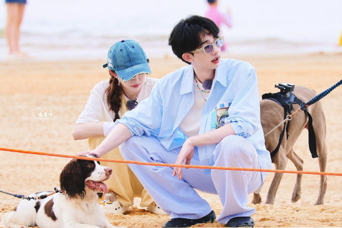 何运晨看到猫猫忍不住夹起来了小何给李晋晔vlog配音这段必须纳入年度搞笑榜单！被