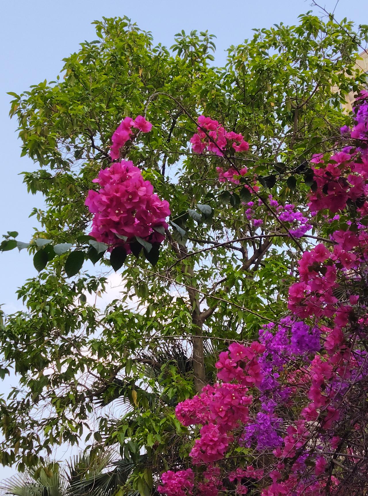 有位情感专家说：“夫妻没有绝配，没有天生合适，只有温柔和让步。一颗体贴的心，是