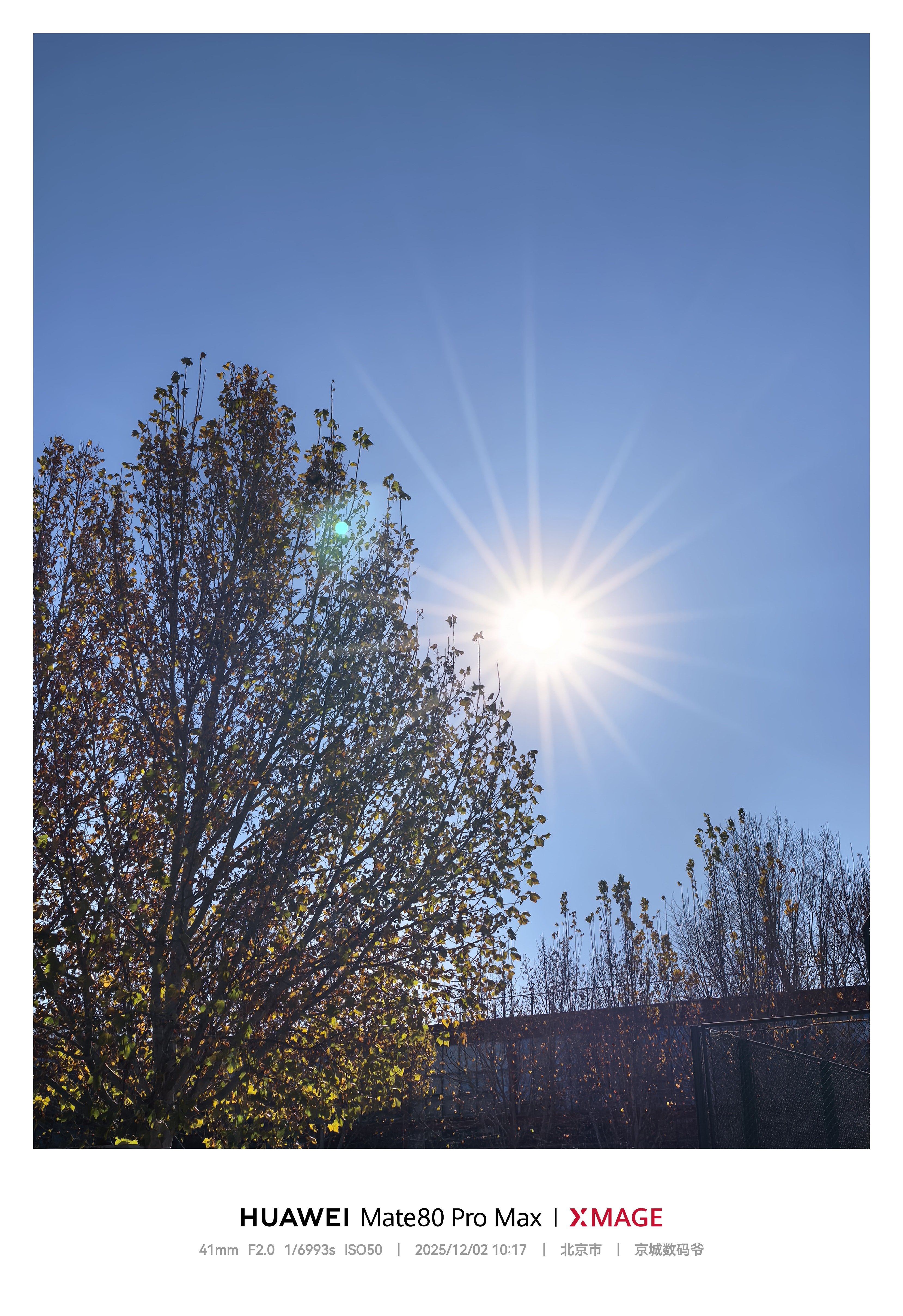 逆光之王，自己看吧！我宣布，没有小字！