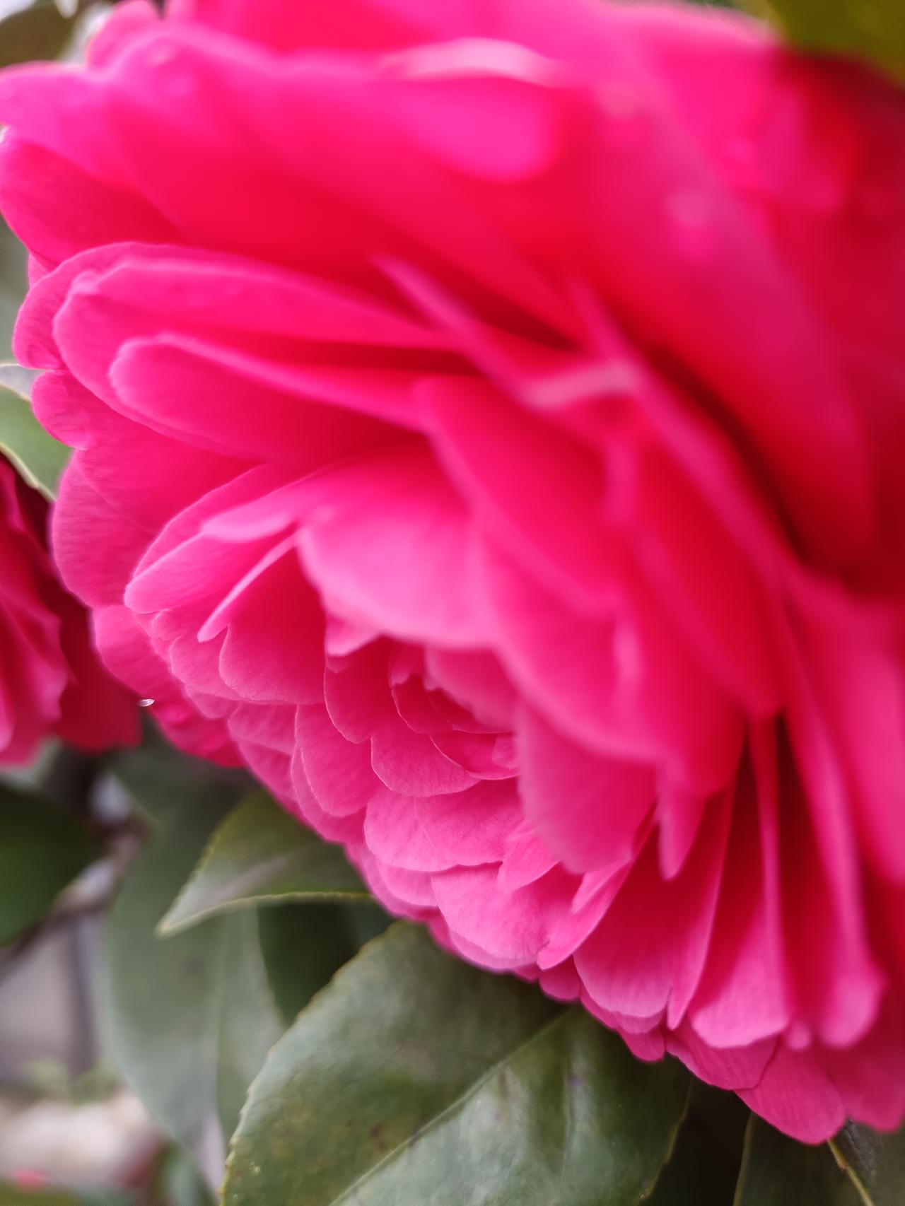 人的一生求什么