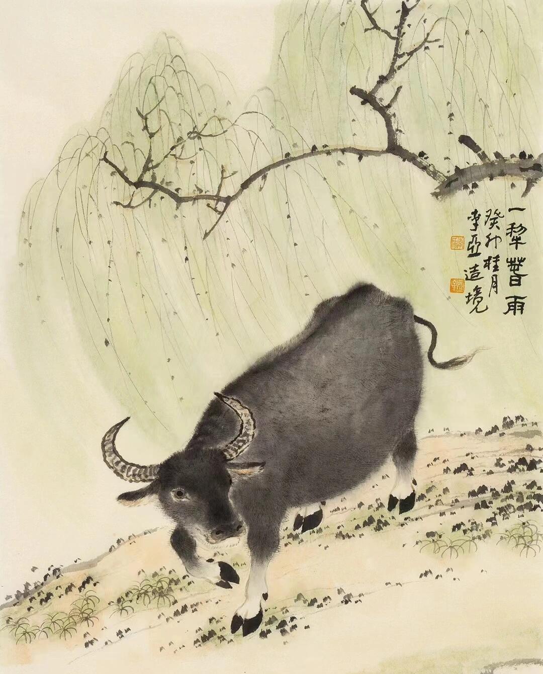 属牛人千万不要伤心和难过，你失去的任何东西老天都会以另外一种方式一分不少
