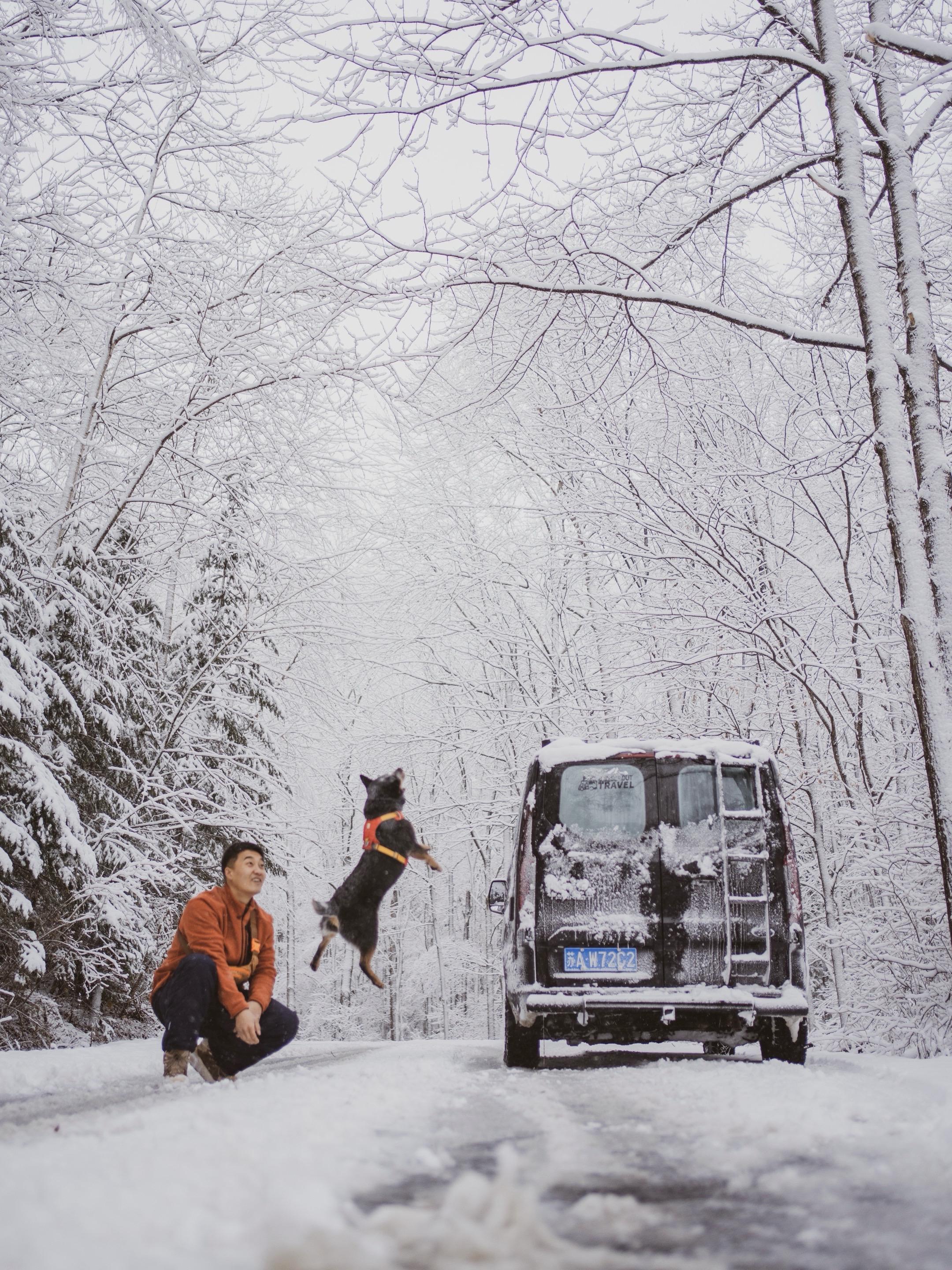 和小狗旅居在东北的雪山里！朋友们我回来了！
