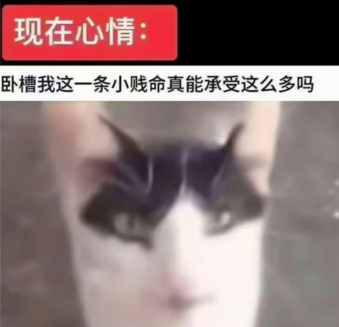7942【求】这种心酸命苦的表情包​​​