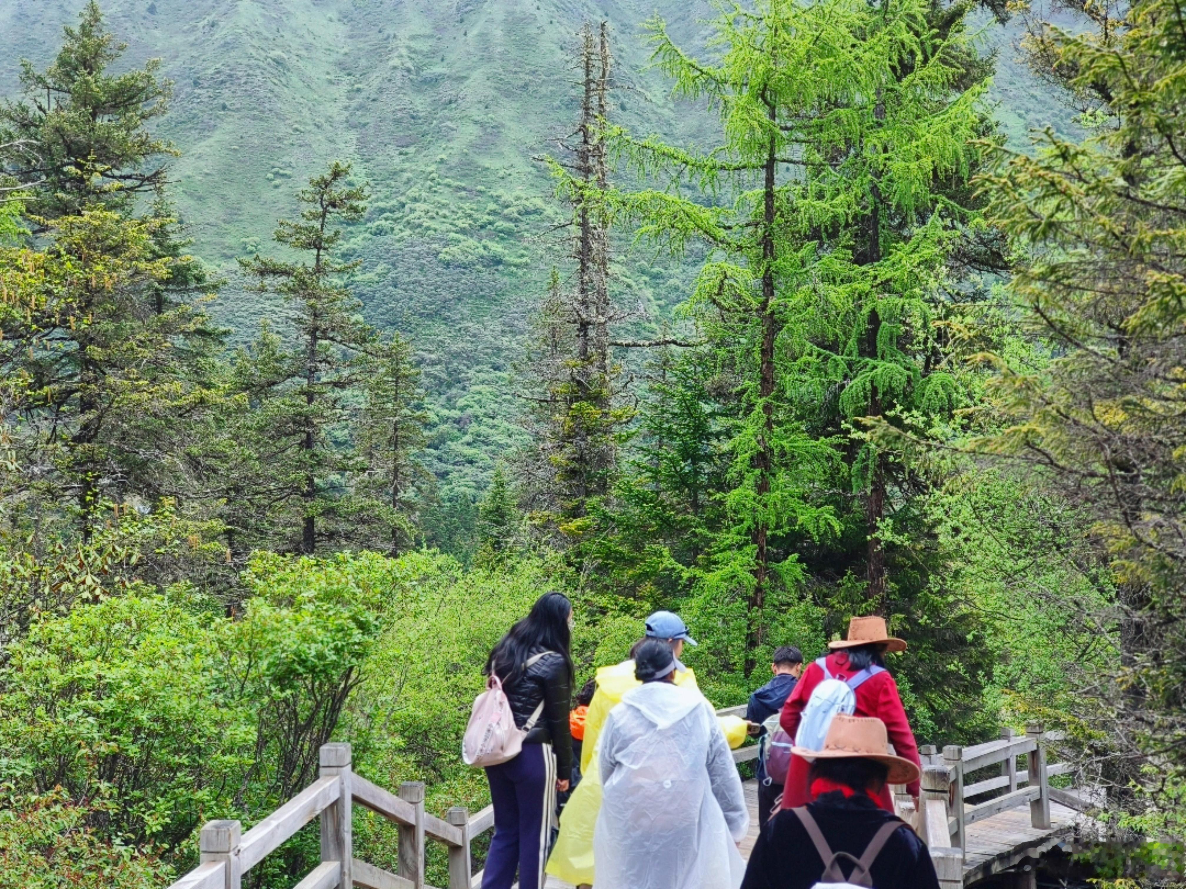 忽晴忽雨间，黄龙的色彩在呼吸雨润黄龙色更鲜六月的黄龙从不单调。高原夏日的典型