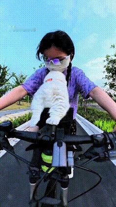 真的越看心里越暖，谁能拒绝这么乖的小猫咪呀。主人骑着车带着小猫出门兜风，还给小猫