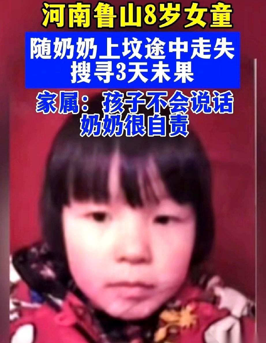 搜救犬疯了似的往家跑。警察再三确认，起点没错，就是孩子最后消失的地方。可那狗