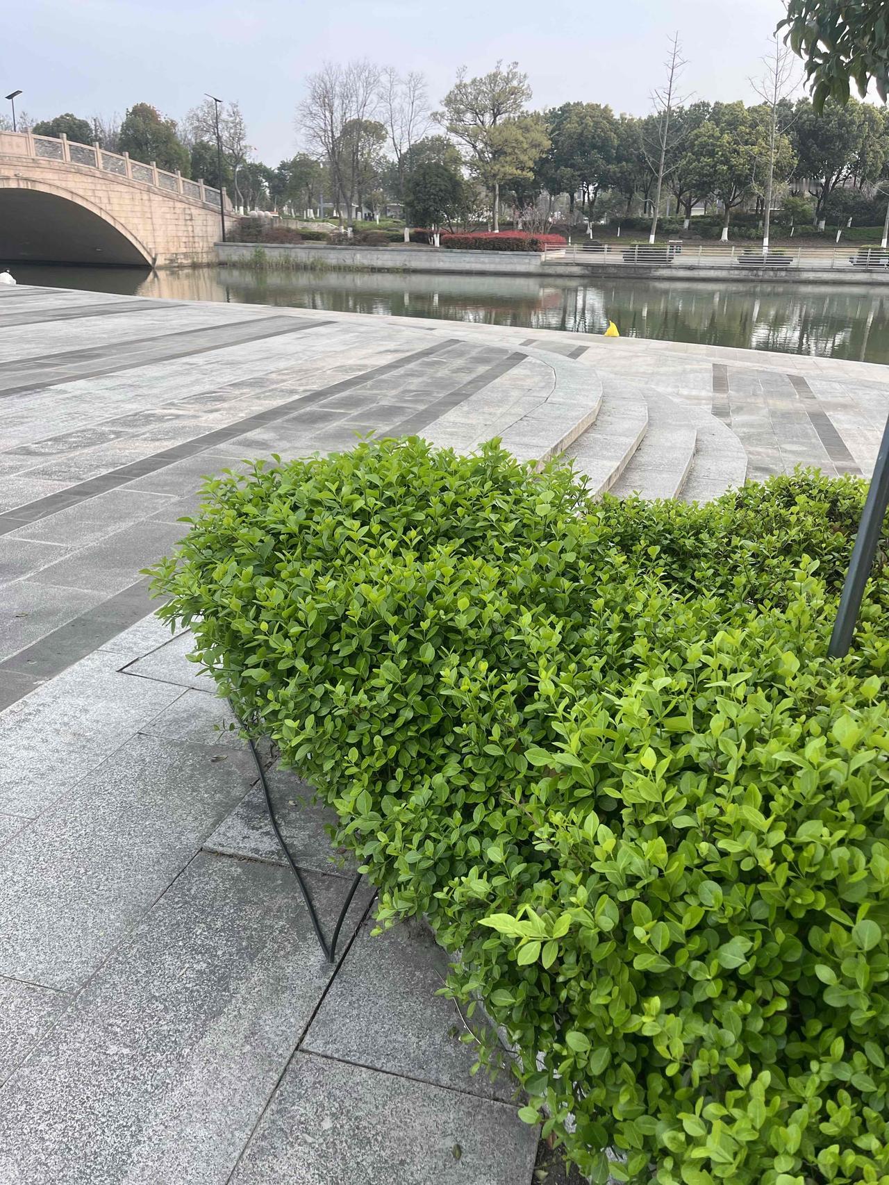 人到晚年，最大的养生，就是不再跟生活较劲。你以为的“养生”，是啥都抓着不放。