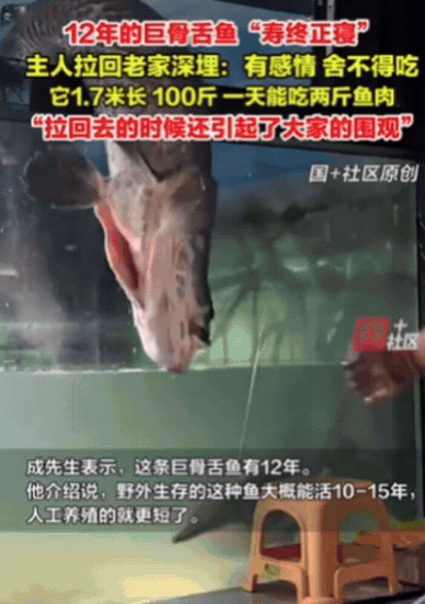 山东滨州，男子回家喂鱼，却发现鱼不动了！他还以为鱼在休息，直到他将其拉出来，才发