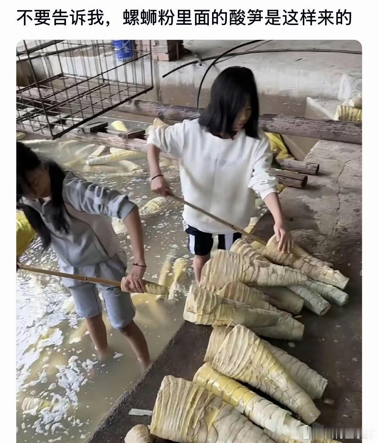 不要告诉我，螺蛳粉里面的酸笋是这样来的​​​