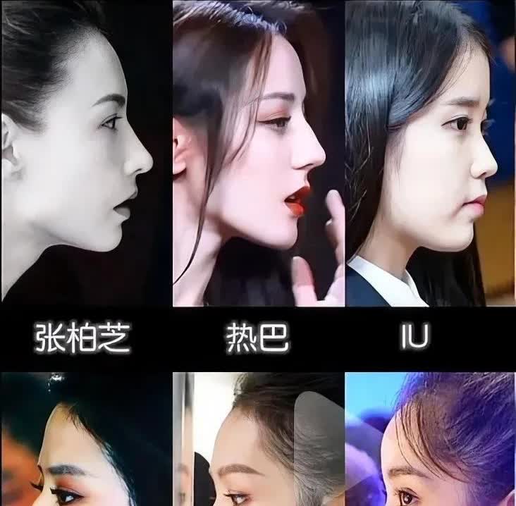 侧颜照才能体现出高鼻梁的优势，这六位女星侧面照，很明显迪丽热巴五官更立体。而瓜子
