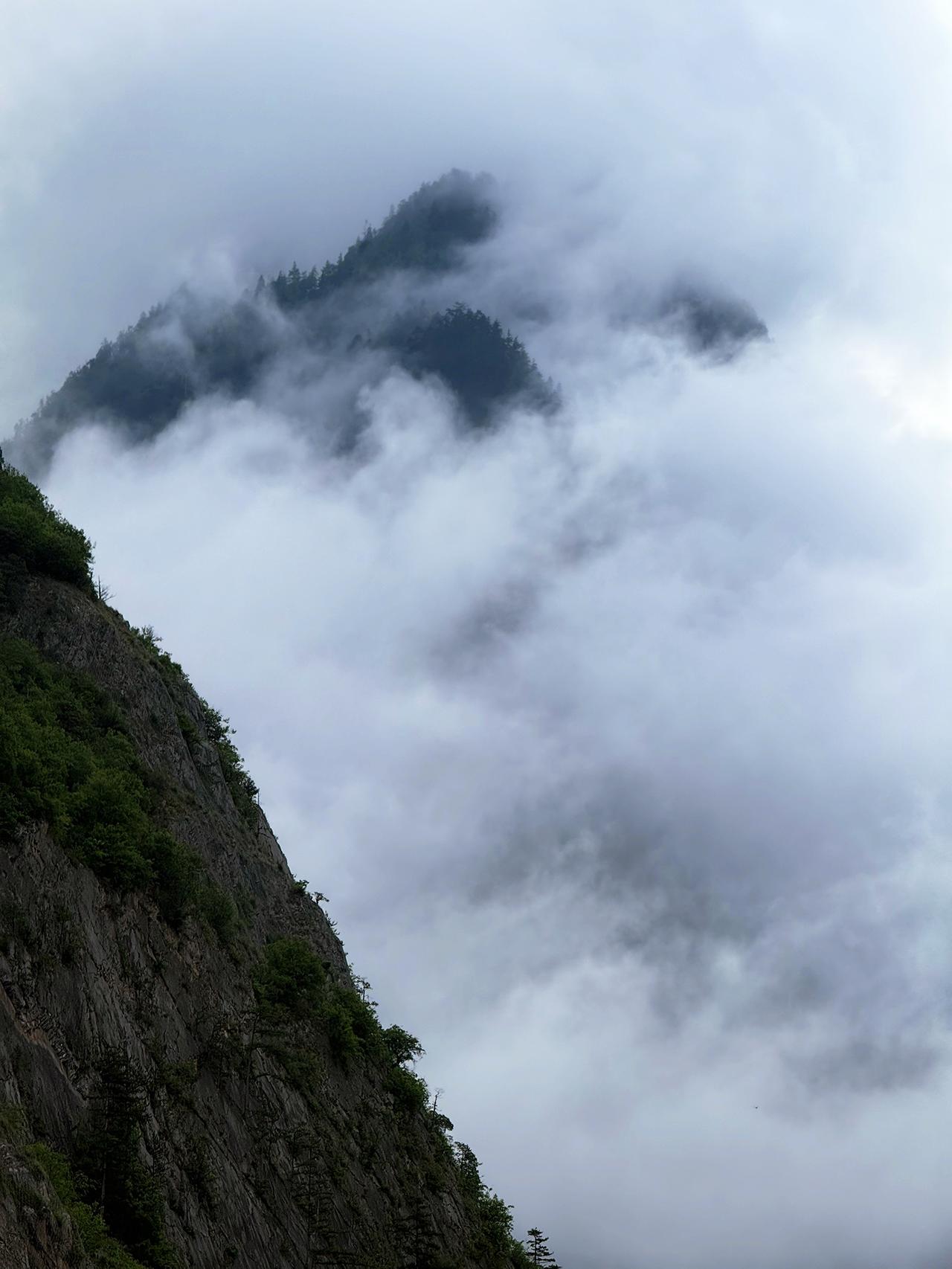 把露营搬进青藏高原，山河云海尽收眼！去山野找自己治愈系风景雪山与森林的绝美邂