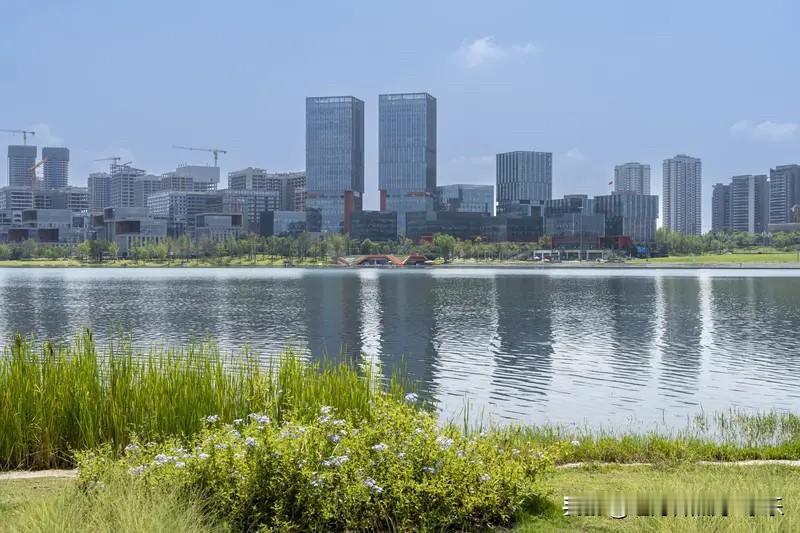 成都楼市2026年来了。成都楼市真是太霸气了。放眼中西部那么多城市，成都房价