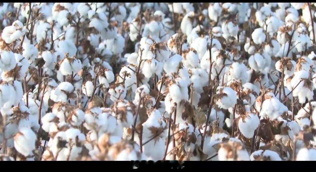 价值投资，本就是投资的唯一正道巴菲特曾直言：“价值投资的说法根本就是多余的。如果