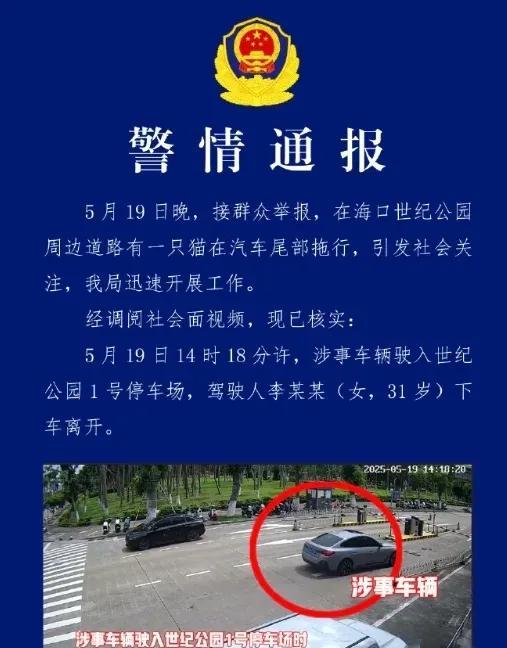海口有关部门通报所谓“车辆拖拽虐猫”调查情况，不是虐猫，那么问题来了，谁来为无辜