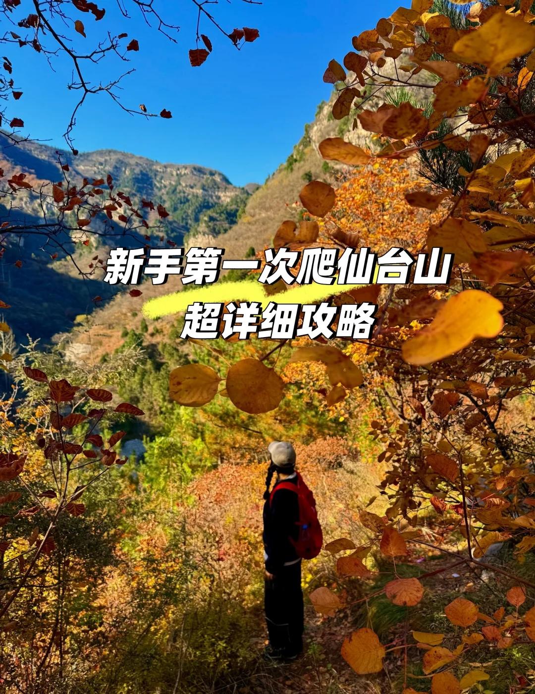第一次爬仙台山|给新手的超详细攻略听说仙台山秋天的红叶特别好看!听说仙台山徒