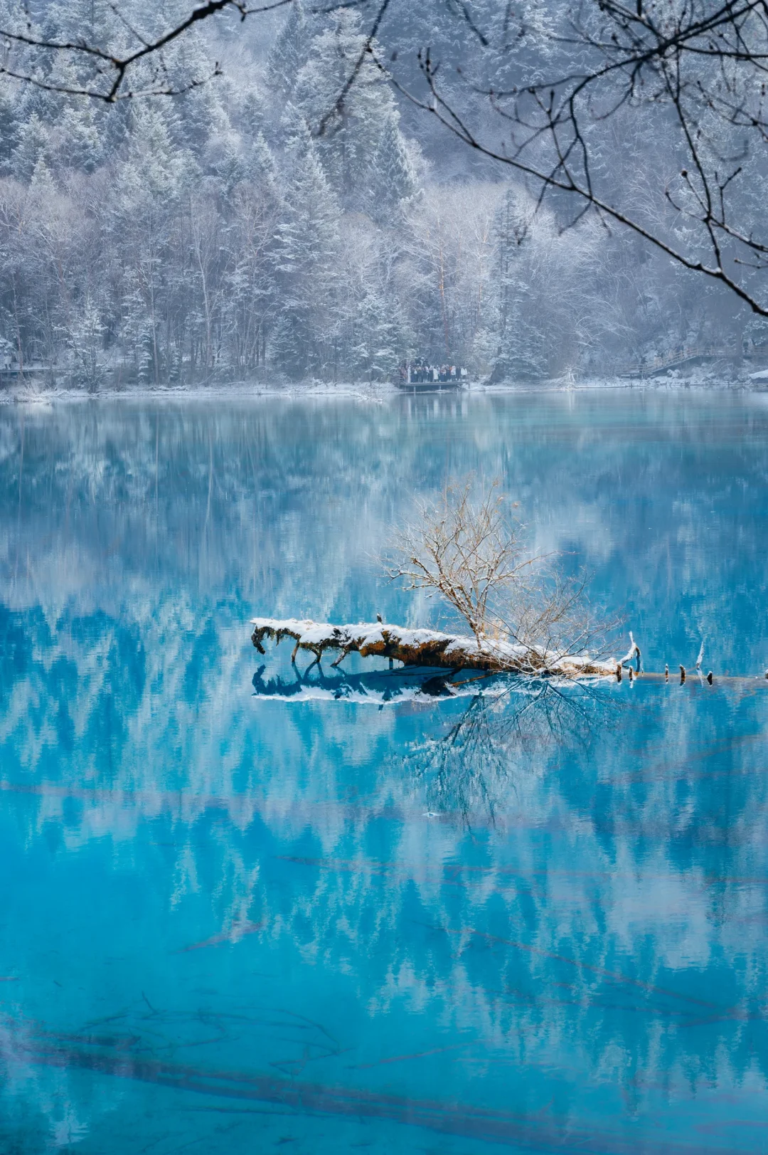 冬季九寨沟，景点的【取舍】
