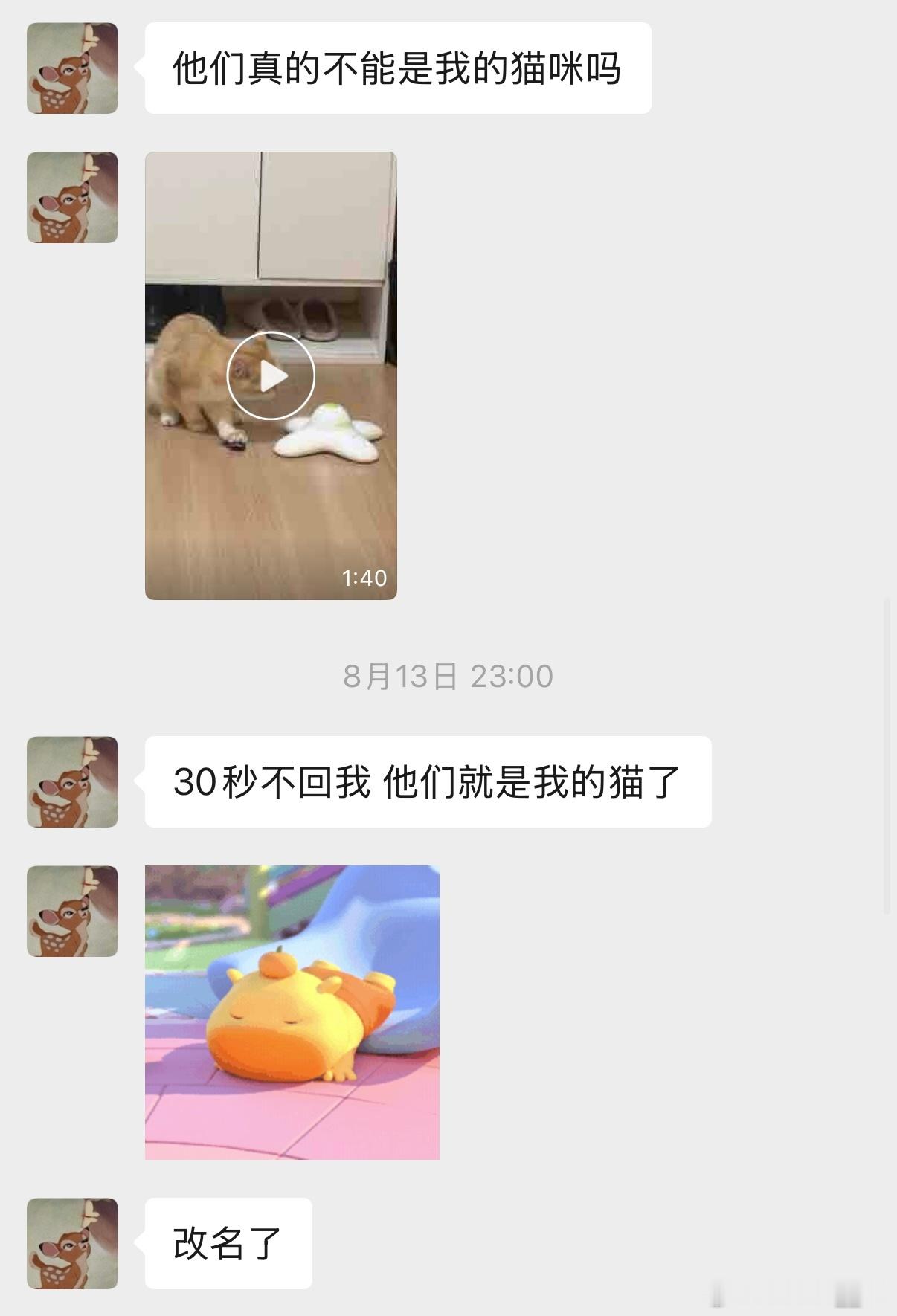 gsy养🐈第一天gsy养🐈第十天