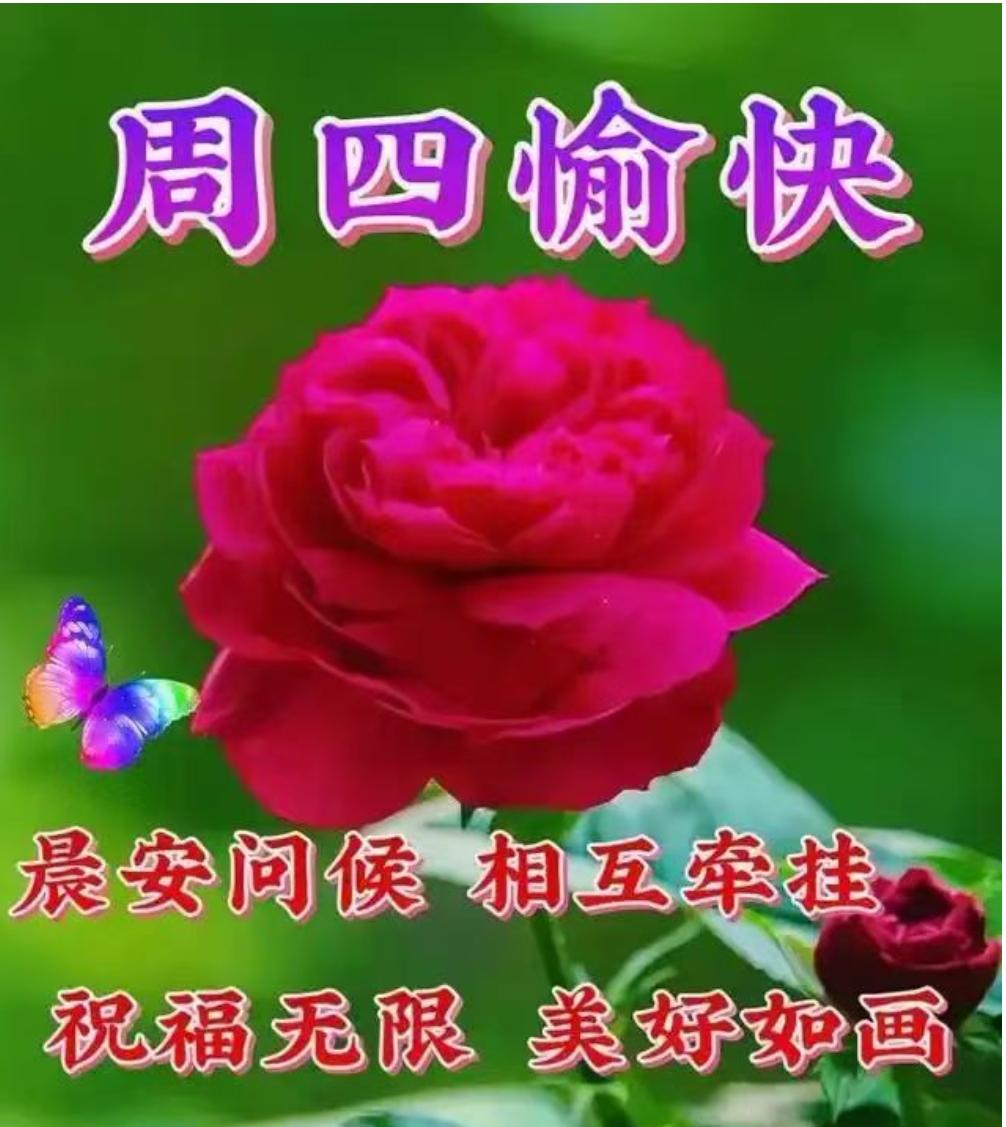一声早安，出行平安；一句问候，健康长寿；一句祝福，幸福美满；天地有爱，人间