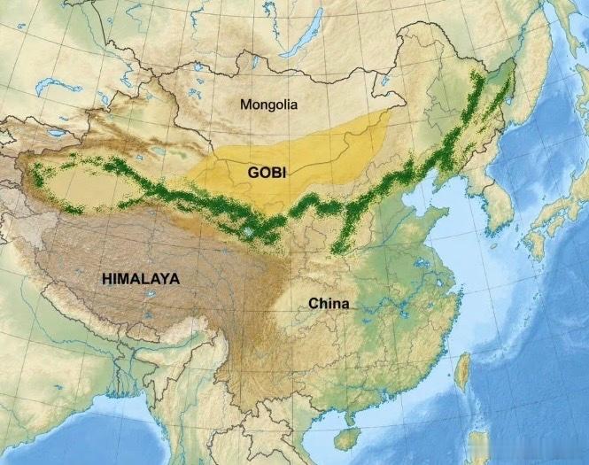 自1978年以来，中国已种植超过660亿棵树，以遏制两大沙漠的扩张，成为人类历史