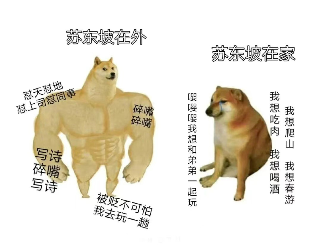 长期苏轼圈导致的meme​​​
