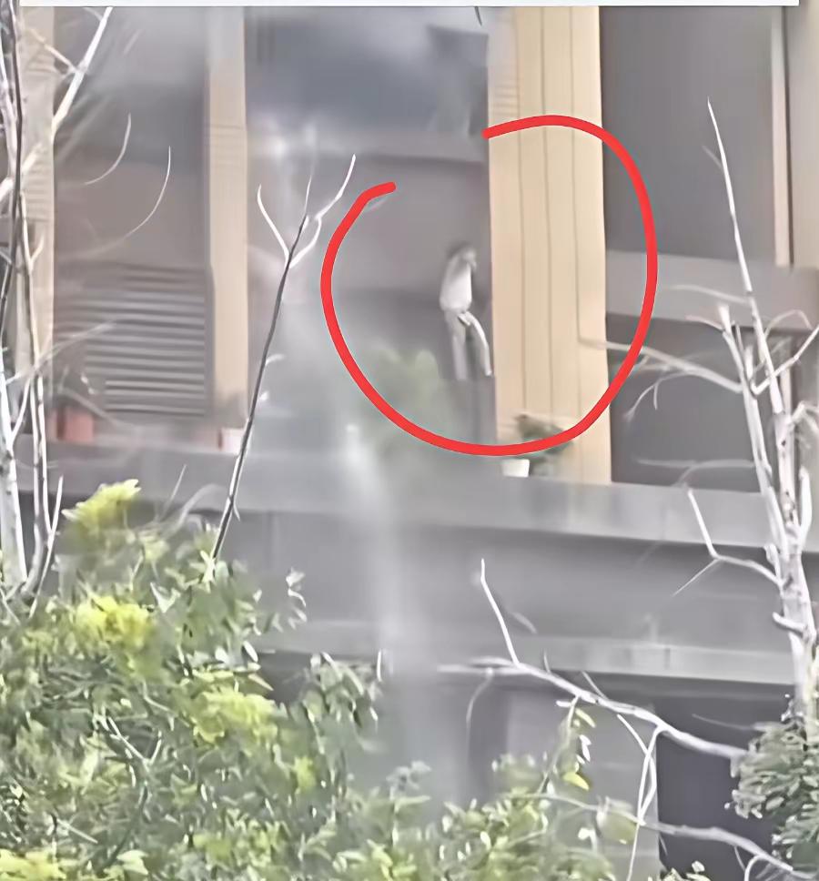 以往火灾事故过后，大家都会由衷致敬消防员，连云港这场火情，舆论却截然不同。男