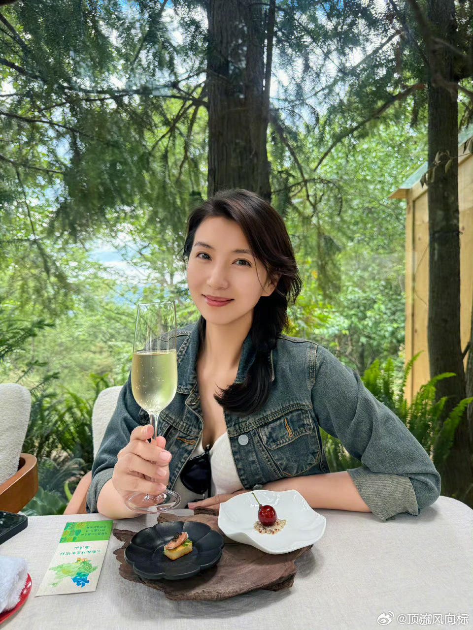 陈好的绿野仙踪[抱抱]​​​