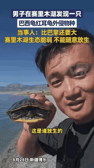 “这影响真的太坏了！”新疆博乐，有网友在赛里木湖边发现了一只巴西龟，随手拍视频做