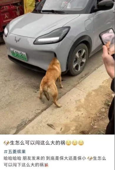 怎么可以闯这么大的祸