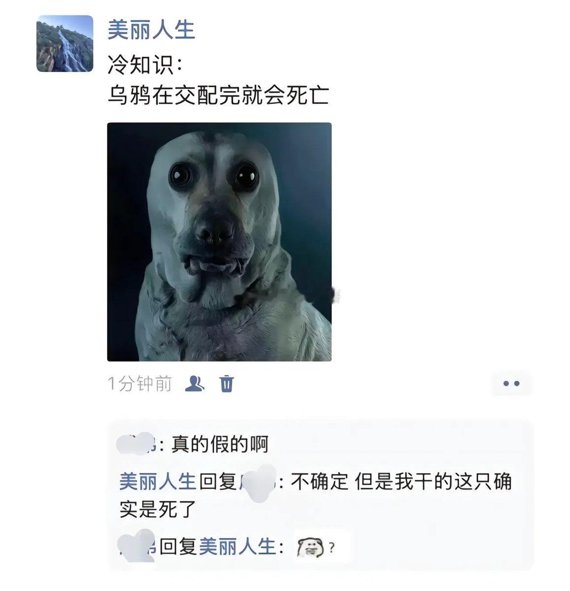 冷知识：乌鸦在交配完就会死亡因为我这只就死了