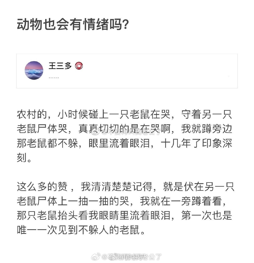 动物也会有情绪吗？这些故事莫名让我有点心里发毛啊……👋cr曝猛​​​