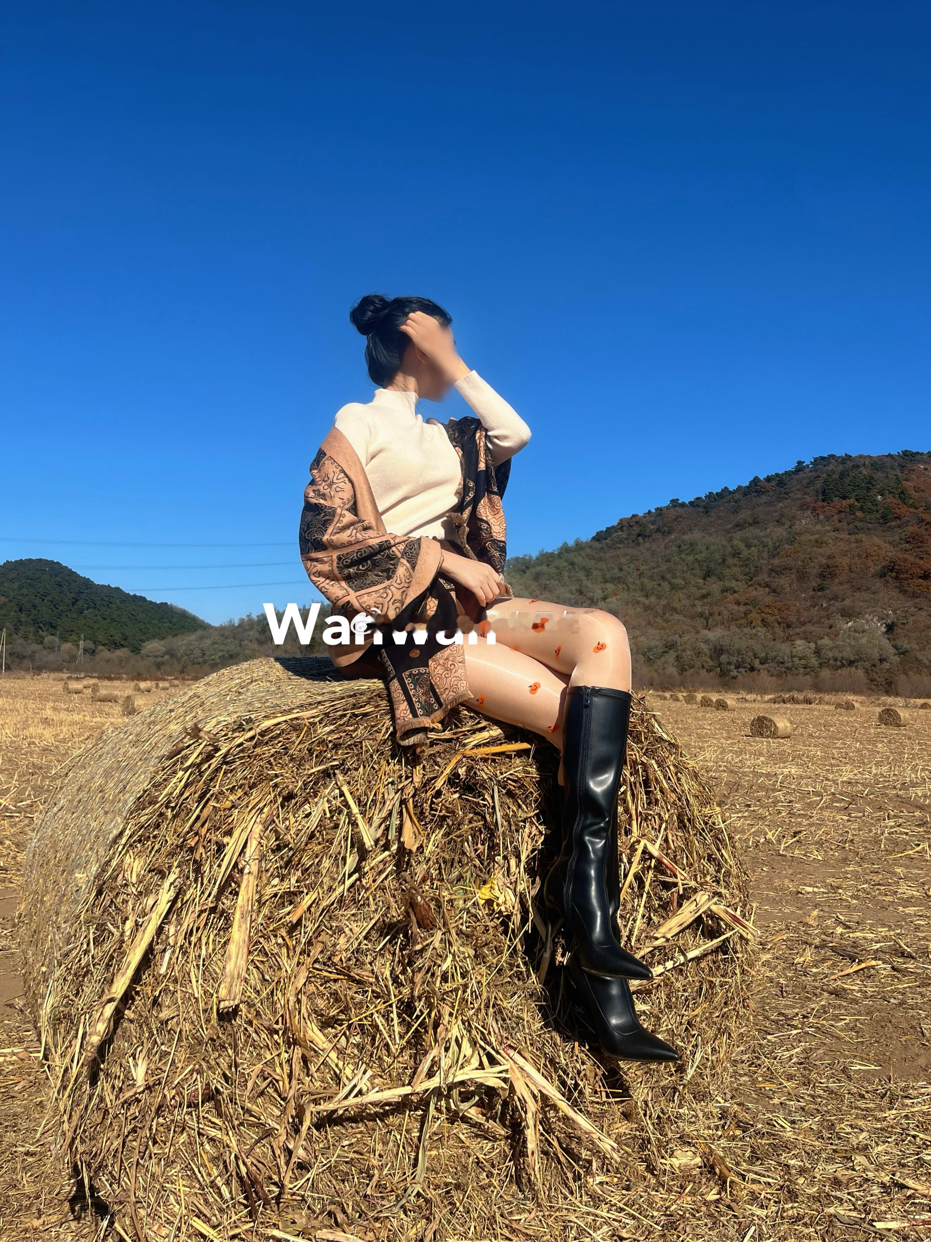 草卷之上的初冬