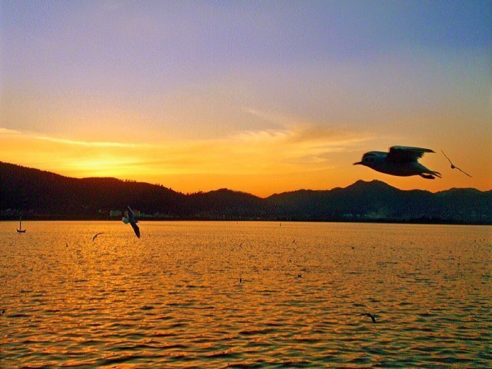 大理·洱海，这里的日子永远风轻云淡