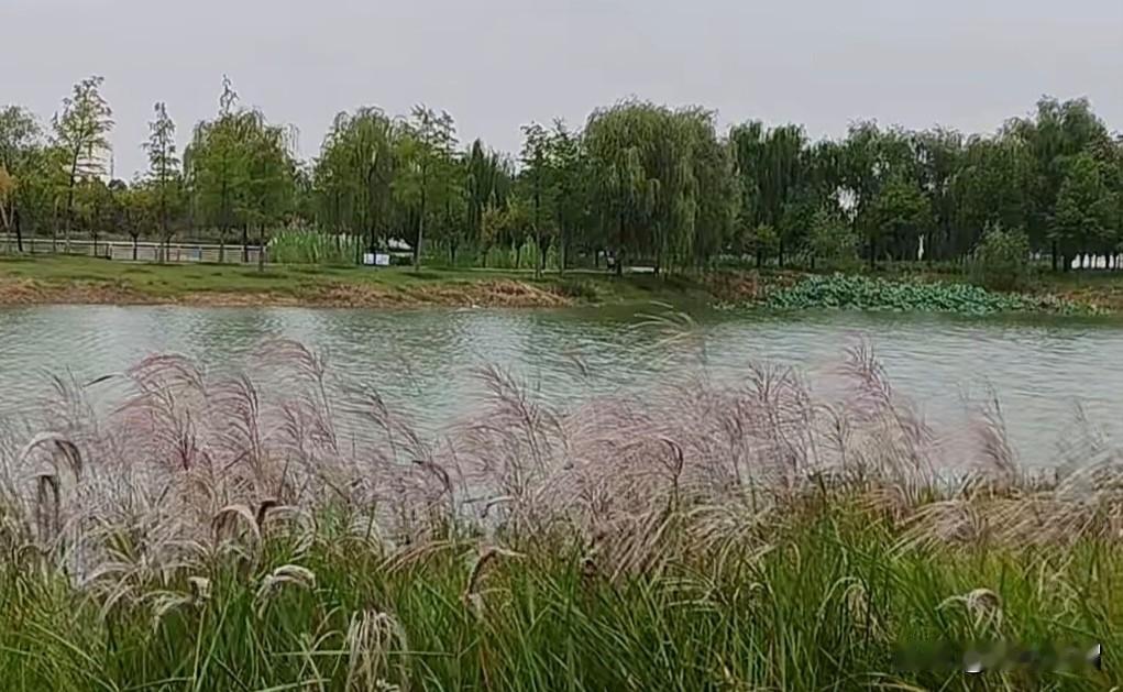 有孩子某学科课本忘带了,老师让孩子给家长打电话,请家长帮忙送过来。家长跟孩子说: