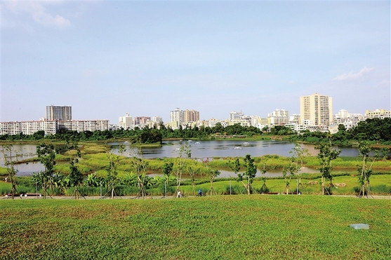 新加坡垂直绿化_新加坡人均绿化面积