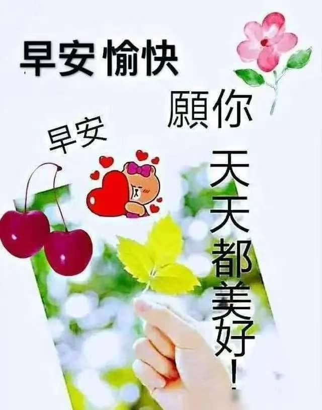 太极拳老师苏先生的三条忠告年轻时练拳，总以为学得越多越厉害，恨不得把太极、八